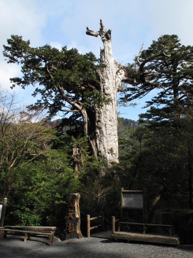 Hotel Yakushima Sanso Exterior foto